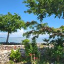 송이섬펜션 이미지