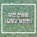 마이아미 | 부산 서면 전시회 요시고사진전, 현장예매 웨이팅 후기, 빠른 입장 방법 공개!