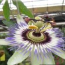 수정농장 이미지