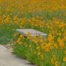 구미보명품화장실 이미지