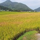 보령-미산-2 이미지