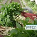 매곡농장 이미지