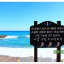 블루로드 이미지