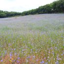 태신농장 이미지