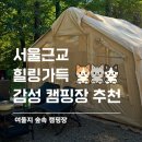 숲속에서 캠핑장 | 근교 나만 알고 싶은 김포 “여울지 숲속 캠핑장” 재재방문 후기(내돈내산, 당일,글램핑,차박,오토캠핑...