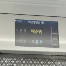 십구홀 | 25년 9월 | 최현우 "대마법사"보고 옴 19+i 하남 🪄 시트콤 만둣집