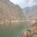 동강할미꽃마을 이미지