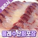 제주회수산 | 제주 동문시장 올레수산 회포장 후기 공항 근처 방어회 딱새우회 단체 모임