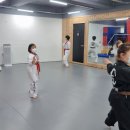 찬빛태권도 이미지