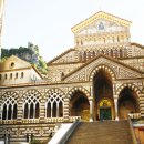 스테디(Steady) 이미지