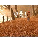 비우고채우는숲 이미지
