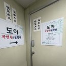 동양뉴스통신사주 | 신대방역 사주 작명 | 도아작명 철학원 진짜진짜 솔직한 후기