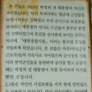 폴리민박 이미지