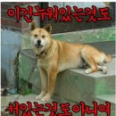 미소 네이버블로그