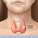 닥터스의원 이미지