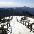 지리산봄날 이미지