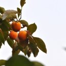 돈암안경원 이미지