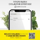 고려꽃식물원 | 공룡꽃식물원 개업화분 후기 🌿 실패 없이 고른 녹보수 만족기