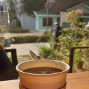 홍카센타 이미지