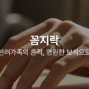 꼼지락이야기