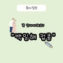 관문병원 | 임산부 필수 관문 '백일해 주사' 총정리 : 30주 접종 후기와 가족 접종 팁 (가격/장소/보건소)