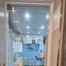 다운애견 이미지