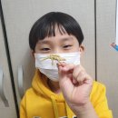 백석그림숲미술학원