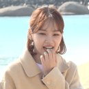 채원복권 이미지