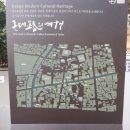 신광약업사 이미지