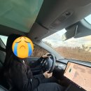 복자농장 | 남쪽 3박 4일 여행 1일차 - SK 렌터카, 동문시장, 아베베 베이커리, 두툼회, 티라 호텔, 복자씨 연탄구이