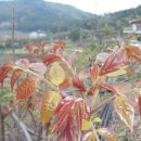 농장 천지인 이미지