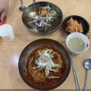 [진해 밀면맛집] 월드스타 bts도 방문한 진해 일미식당 내돈내산 솔직후기