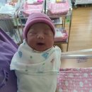 위대한탄생여성병원 이미지