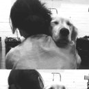 남지애견샵 이미지