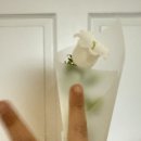 (주)아이블리 이미지