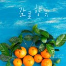 감귤향기 이미지