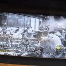 노란황소집 이미지