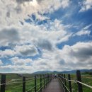 가가한우목장 이미지