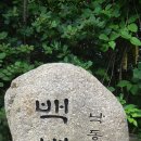 태백고원자연휴양림 Daum카페