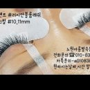 아롱별속눈썹