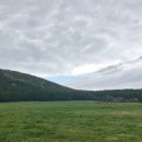 수망리 | 제주도 물영아리 오름 주차장 휴게소 김밥 습지 후기