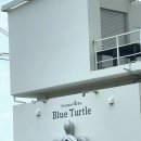 써니터틀 이미지