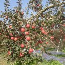 동호마을 이미지