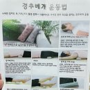 제이준플라워 | 거북목 베개 제이준편백으로 광명 찾은 후기