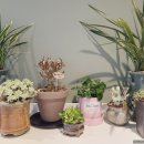 햇님노래연습장 이미지