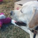 두아름농장 이미지