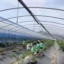 옥빛유치원 이미지