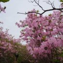 청평5리 마을회관 이미지