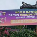 맨드라미 화단 | 오죽헌 방문 후기 강릉시립박물관 화폐전시관 율곡기념관까지 총정리