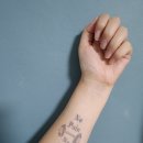 타투 복싱 | 양배추 다이어트 2주차 후기